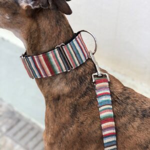 Collar Martingale Tanna