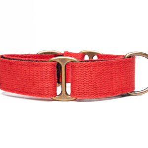 Collar Martingale Raw - Watermelon