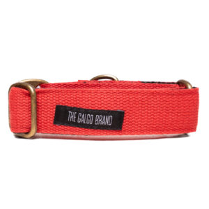 Collar Martingale Raw - Watermelon