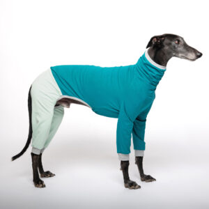 galgo onesie