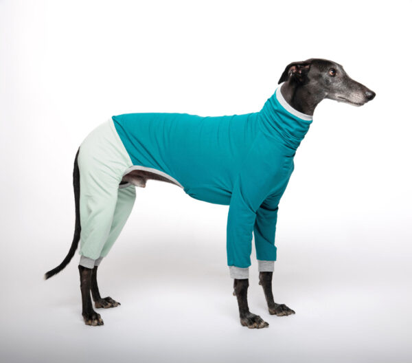 galgo onesie