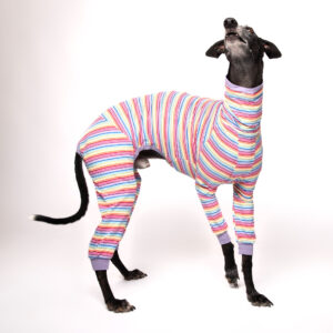 greyhound onesie (2)