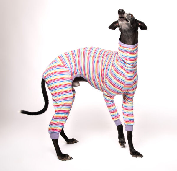 greyhound onesie (2)