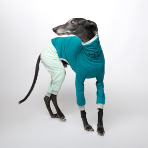 greyhound onesie (3)