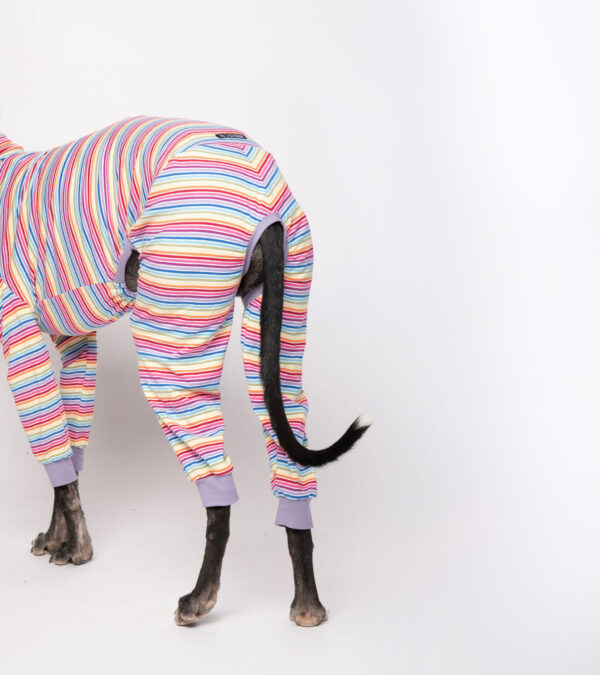 greyhound onesie