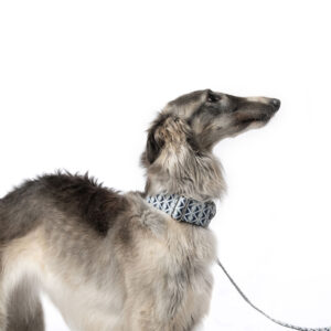 martingale collar