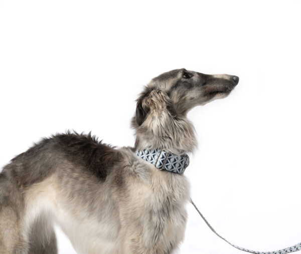 martingale collar