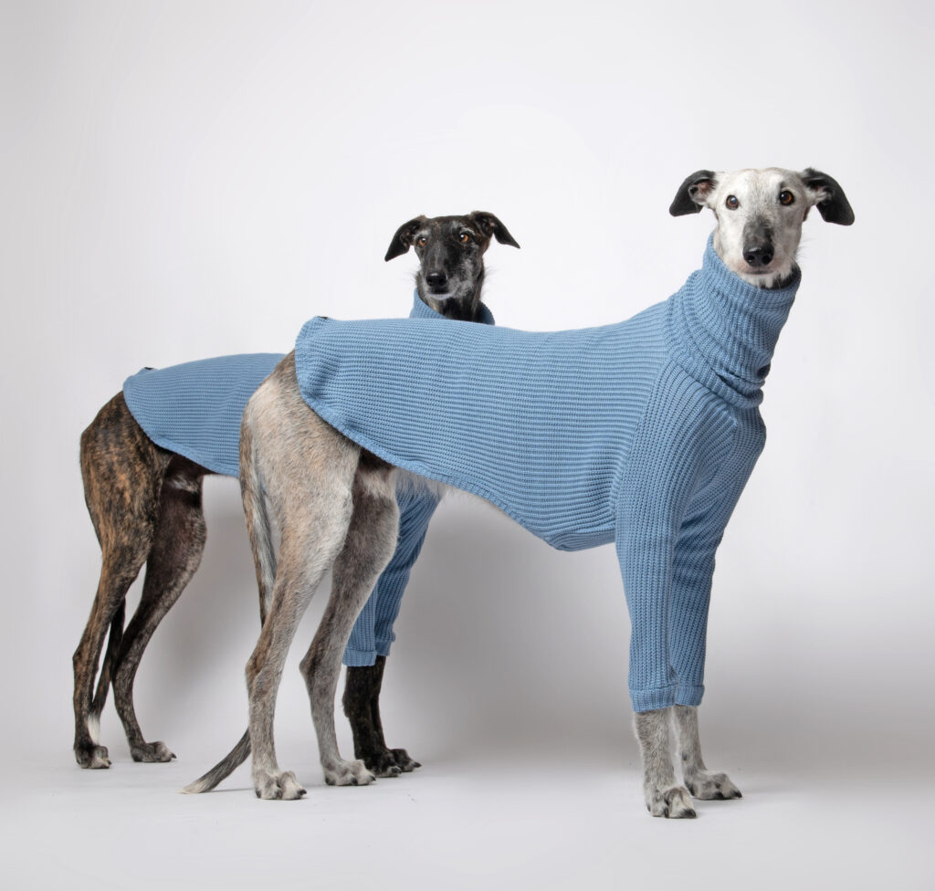 whippet coat