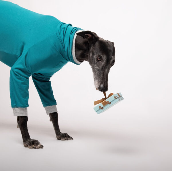 whippet jumpsuit