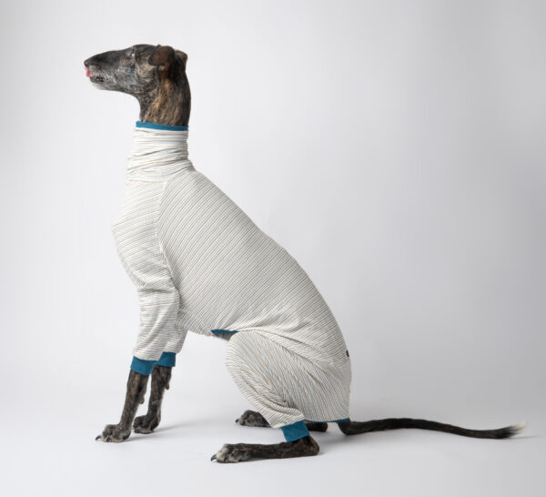 whippet onesie 2