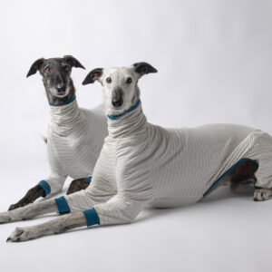 whippet pyjama 2