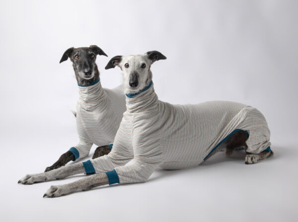 whippet pyjama 2