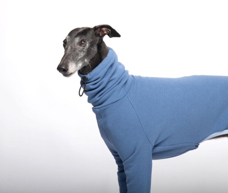 Sudadera galgo